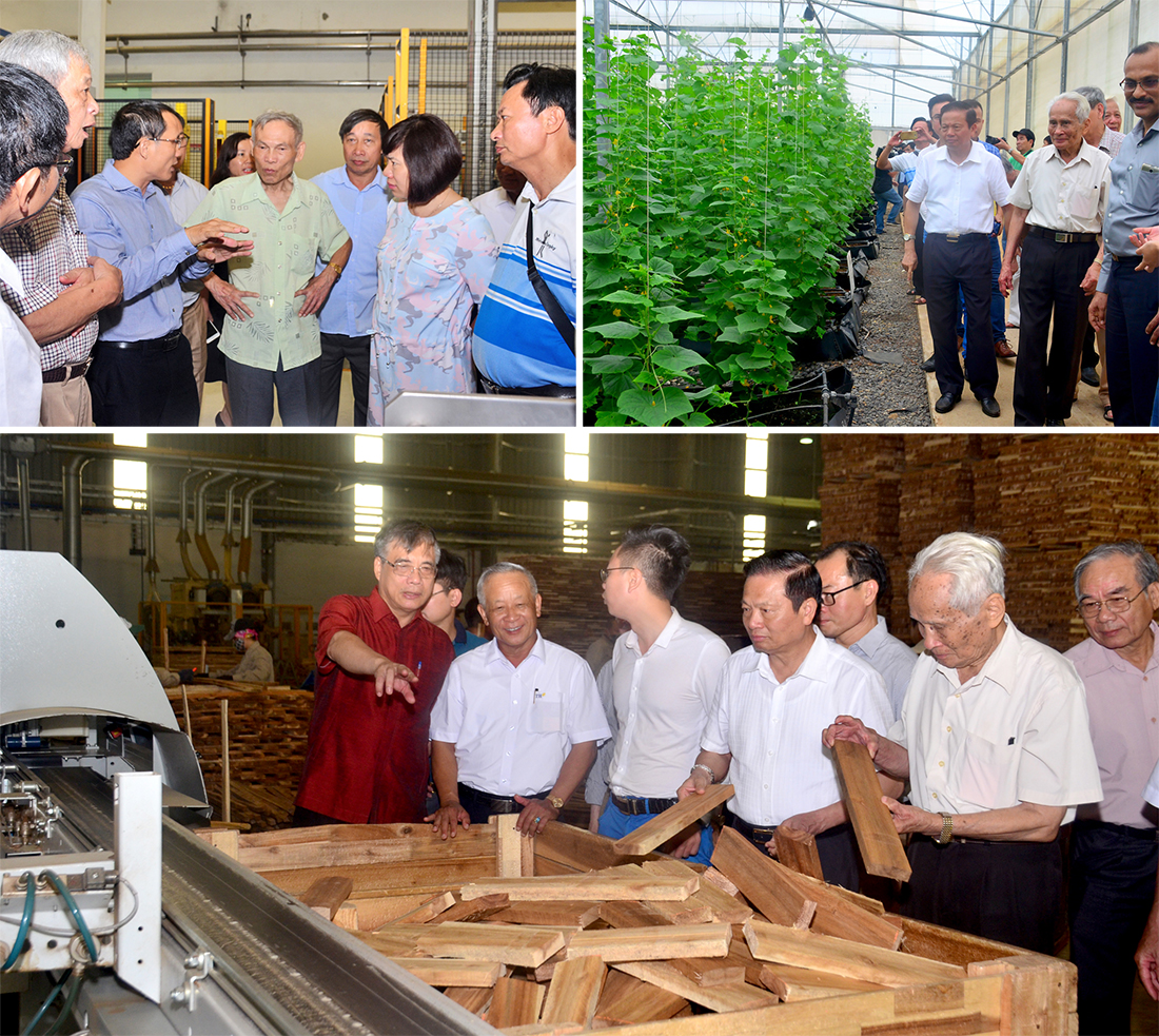 Đoàn Hội đồng hương Nghệ An tại Hà Nội thăm Nhà máy sữa TH, Công ty CP sản xuất và cung ứng rau quả sạch quốc tế FVF, Nhà máy Chế biến gỗ Nghệ An. 