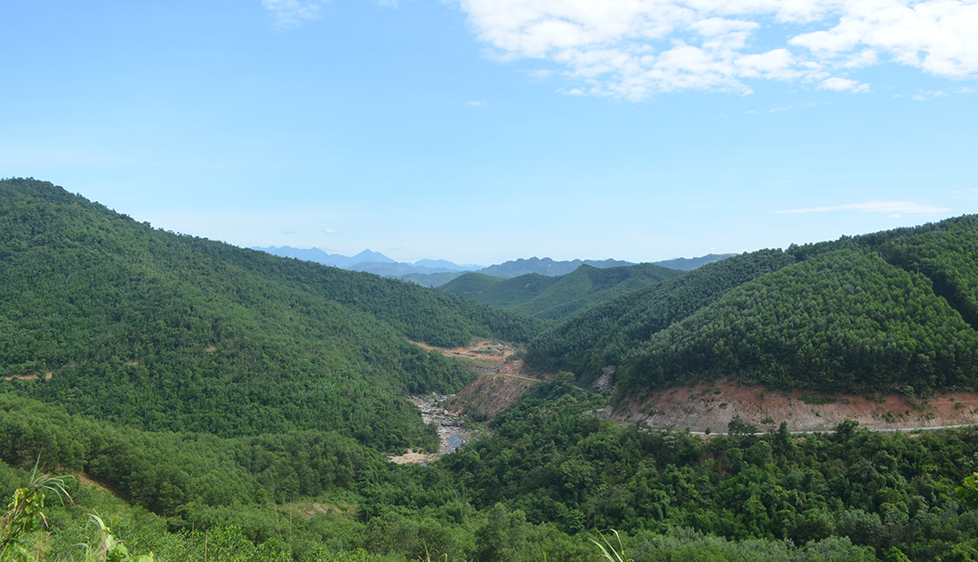 Ở huyện Quỳ Châu, nhu cầu phát triển kinh tế rừng đang hết sức mạnh mẽ. Ở đâu, cũng bắt gặp các khu rừng keo. 