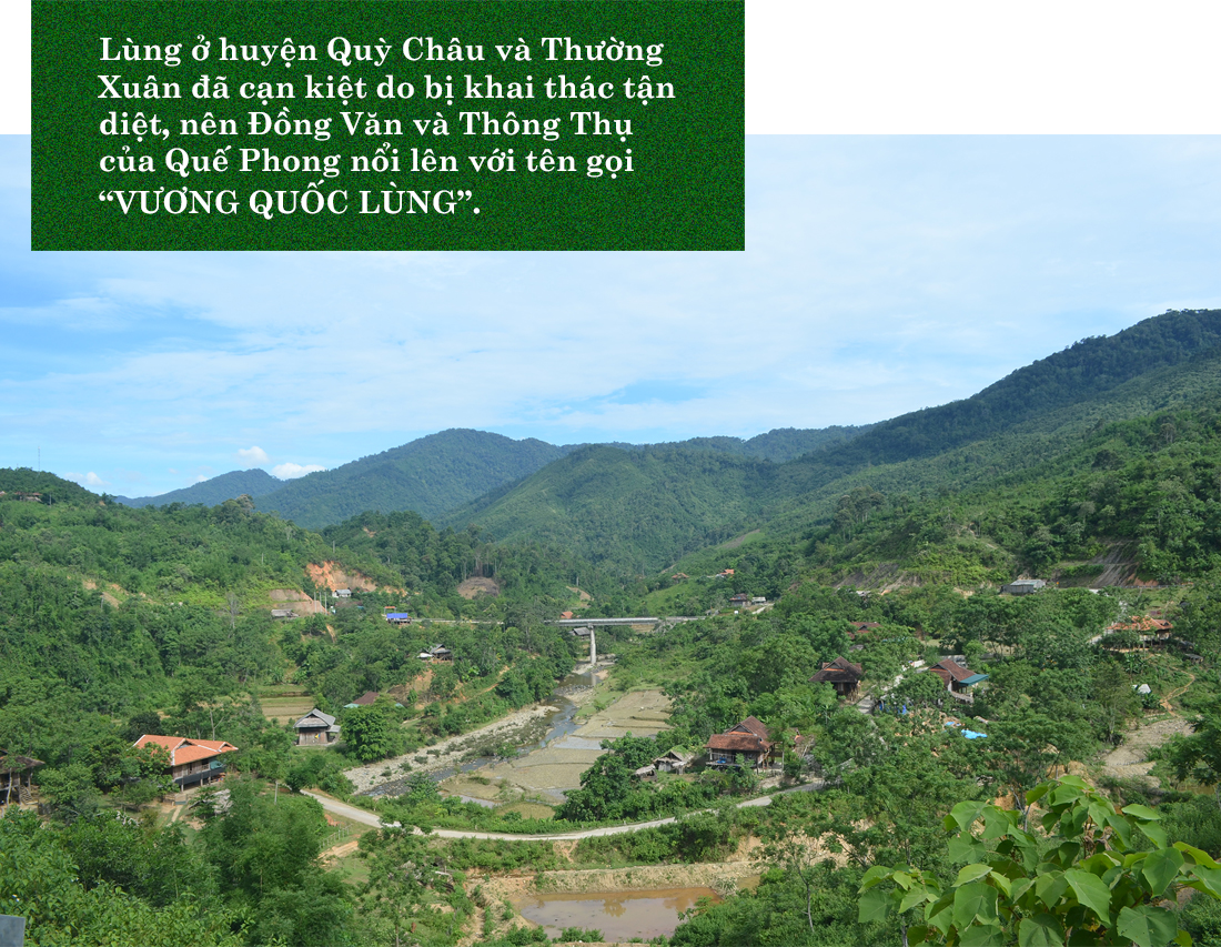 Một cụm dân cư xã Đồng Văn nhìn từ trên núi cao.