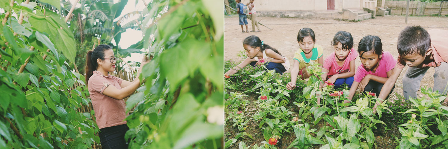 Cô và trò tự trồng và chăm sóc vườn rau, luống hoa ở trường