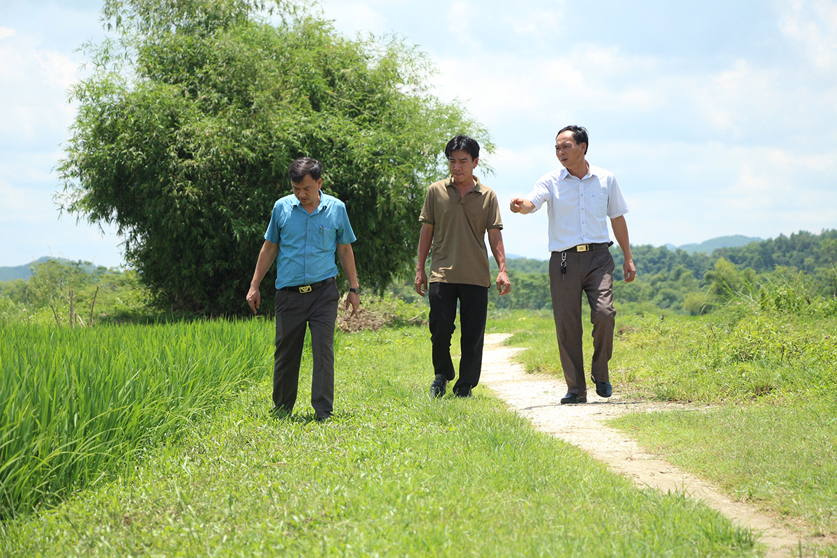 Chủ tịch UBND xã Lưu Xuân Điểm cùng cán bộ, phóng viên Báo Nghệ An thăm đồng.