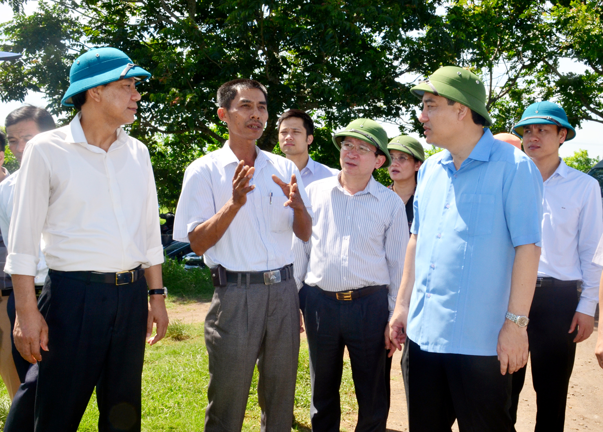 Ông Trần Danh Hải - Tổ trưởng tổ hợp tác trồng mía giới thiệu với Bí thư Tỉnh ủy Nguyễn Đắc Vinh mô hình trồng mía chất lượng cao tại xã Nghĩa Phú (Nghĩa Đàn). 