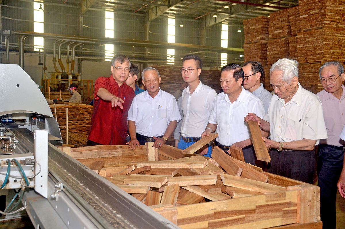 PGS.TS Trần Đình Thiên (ngoài cùng bên trái) thăm Nhà máy Chế biến gỗ Nghệ An thuộc Công ty CP Lâm nghiệp Tháng Năm, huyện Nghĩa Đàn.