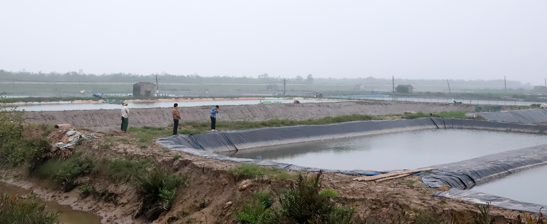 Khu vực nuôi tôm của người dân xóm Phong Yên, xã Hưng Hòa đã được quy hoạch cho dự án Khu đô thị hỗn hợp của Công ty TNHH Hà Thành. 