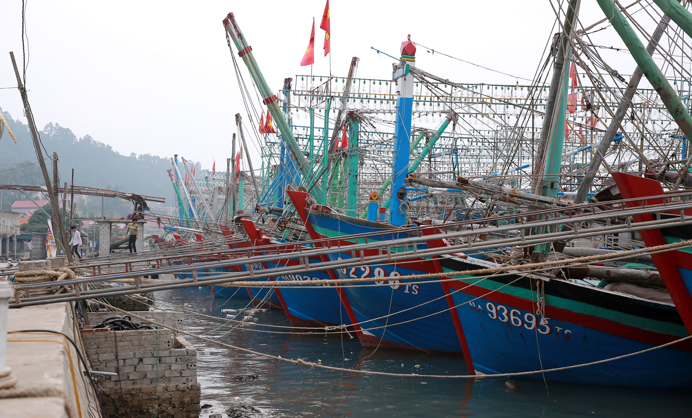 Hàng ngàn tàu cá của Nghệ An cần có phương án cấp dầu đám bảo.