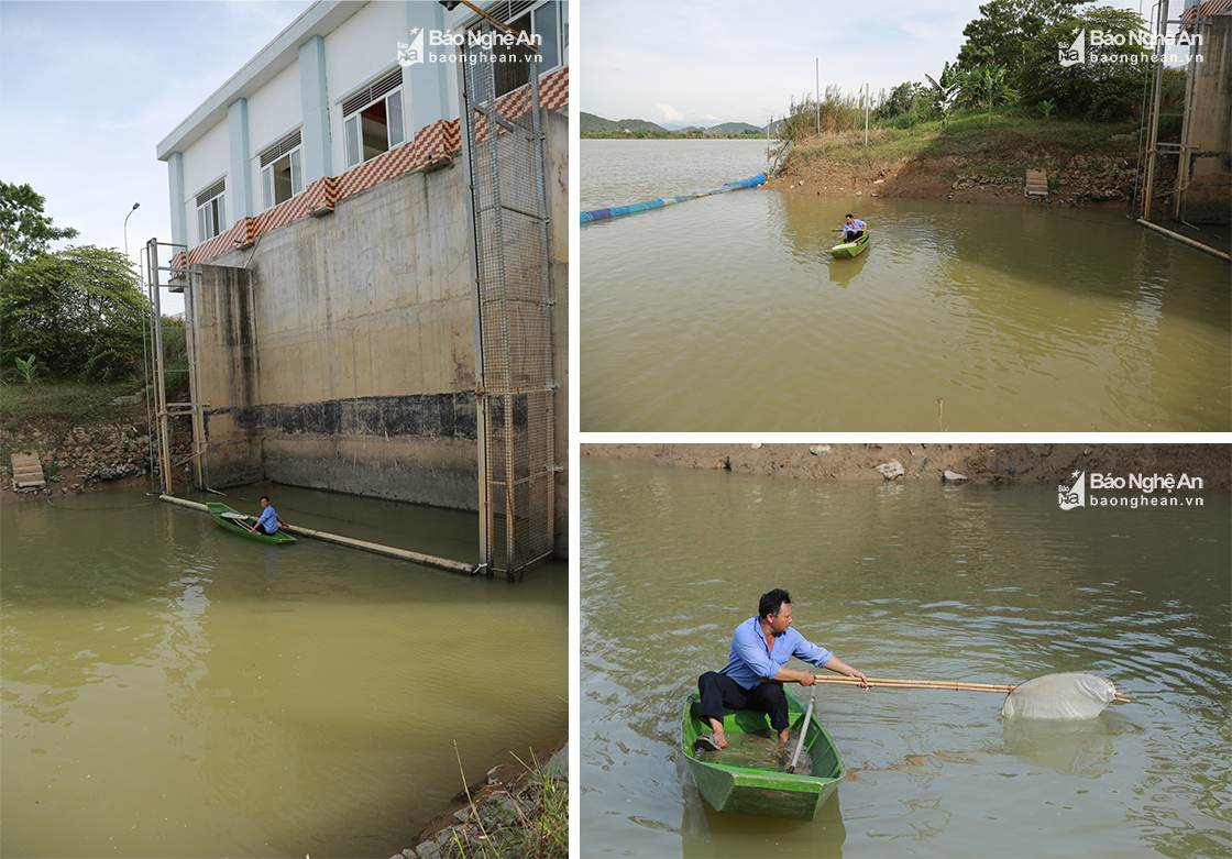 Vì hút nước trực tiếp từ sông Lam nên hàng ngày công nhân Công ty TNHH MTV cấp nước sông Lam vẫn phải vớt rác, làm sạch khu vực xung quanh máy bơm nước.