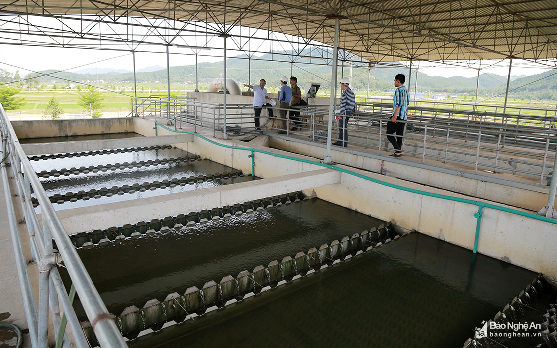 Hệ thống xử lý nước sạch của Nhà máy nước Cầu Bạch (Công ty cổ phần cấp nước Nghệ An).