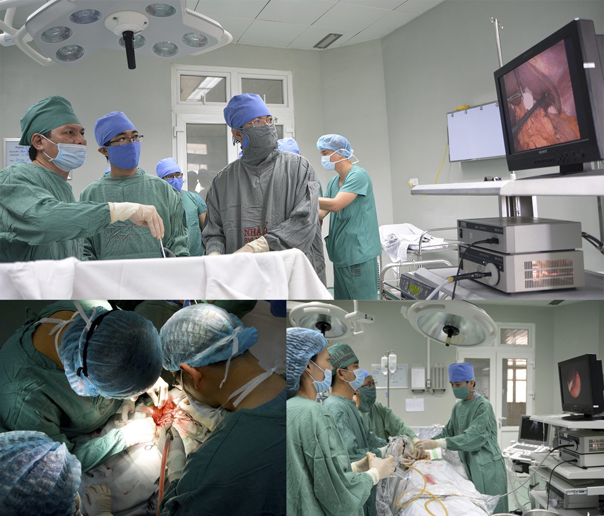Phẫu thuật nội soi thực quản; Thực hiện phương pháp phẫu thuật mạch máu; Kỹ thuật tán sỏi thận ngoài cơ thể.