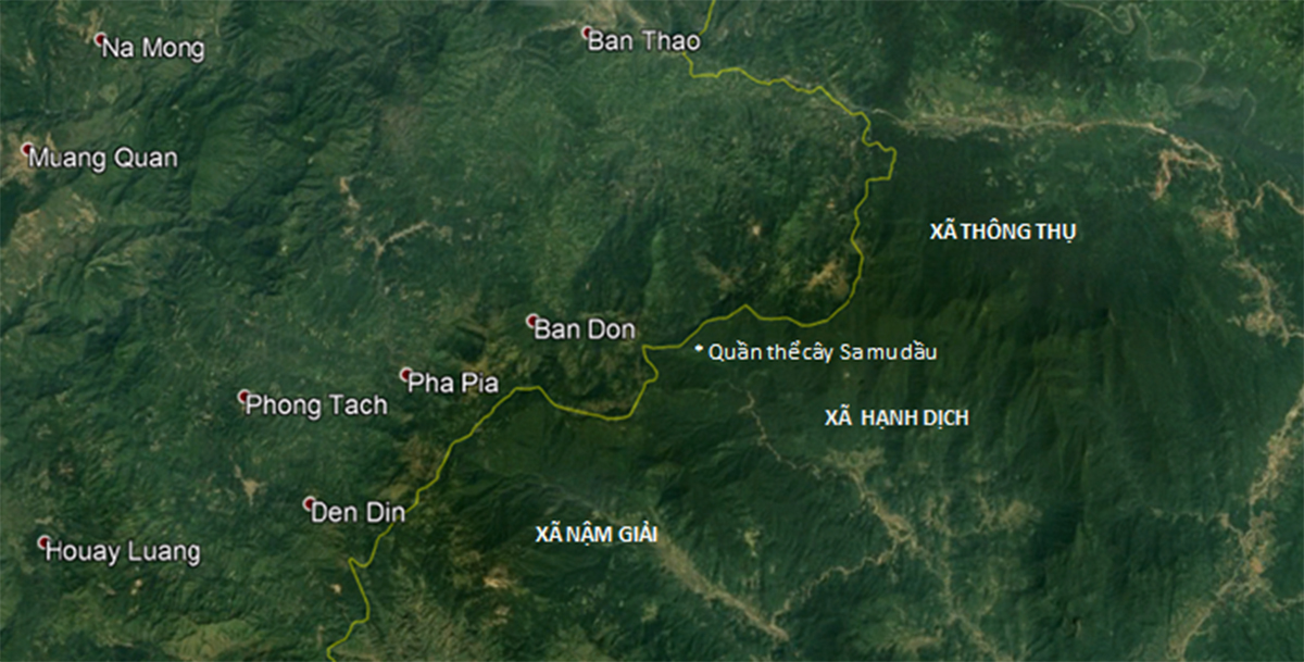 Quần thể cây sa mu dầu thuộc Khu BTTN Pù Hoạt nằm sát đường biên giới Việt - Lào (ảnh: google.maps)