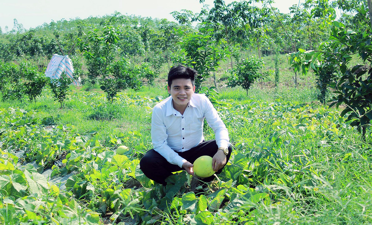 Nhờ sự hỗ trợ về vốn và kỹ thuật từ Tỉnh đoàn, Nguyễn Tuấn Anh (Nghĩa Đàn) đã xây dựng mô hình nông nghiệp xanh