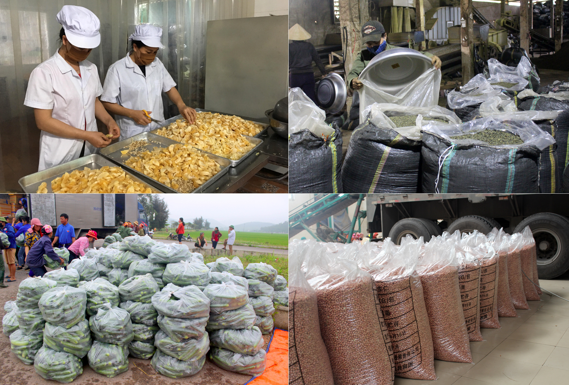 Các sản phẩm nông sản chủ yếu là ở dạng thô bán nội địa và các thị trường dễ tính. Ảnh: Thu Huyền - Phú Hương