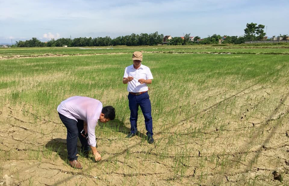 Lãnh đạo phòng Nông nghiệp và PTNT và Xí nghiệp thủy lợi huyện kiểm tra tình hình hạn hán ở xã Hưng Thắng.