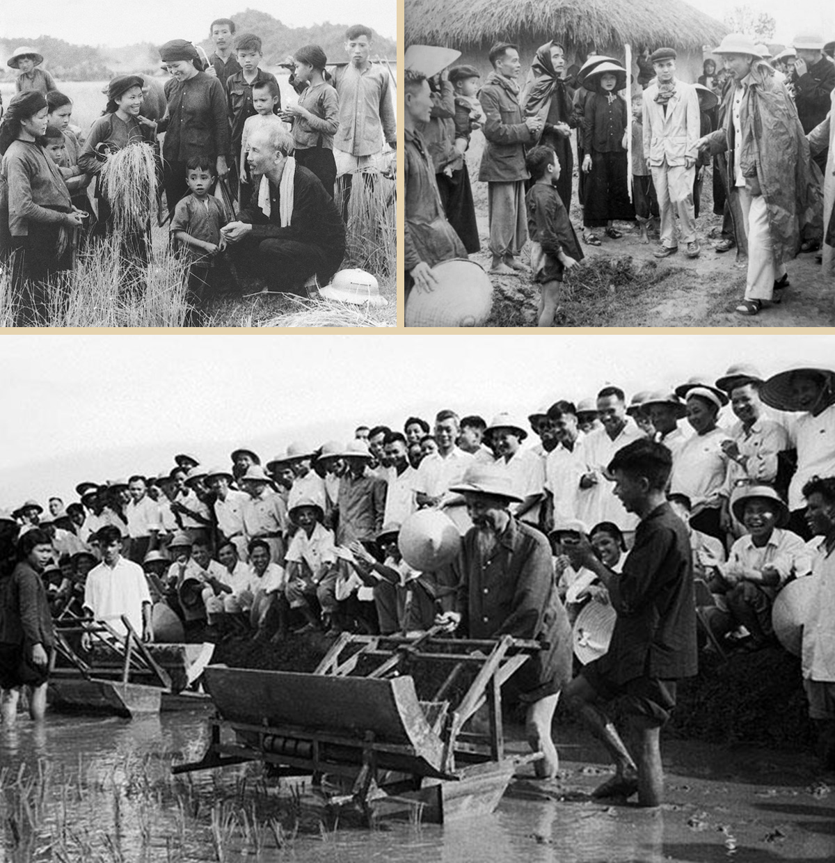 Bác Hồ gặp gỡ, trò chuyện với nhân dân (2 ảnh trên); Bác đến thăm Sở Nông Lâm Hà Nội và sử dụng thử chiếc máy cấy tại ruộng thí nghiệm của Sở (7-1960)