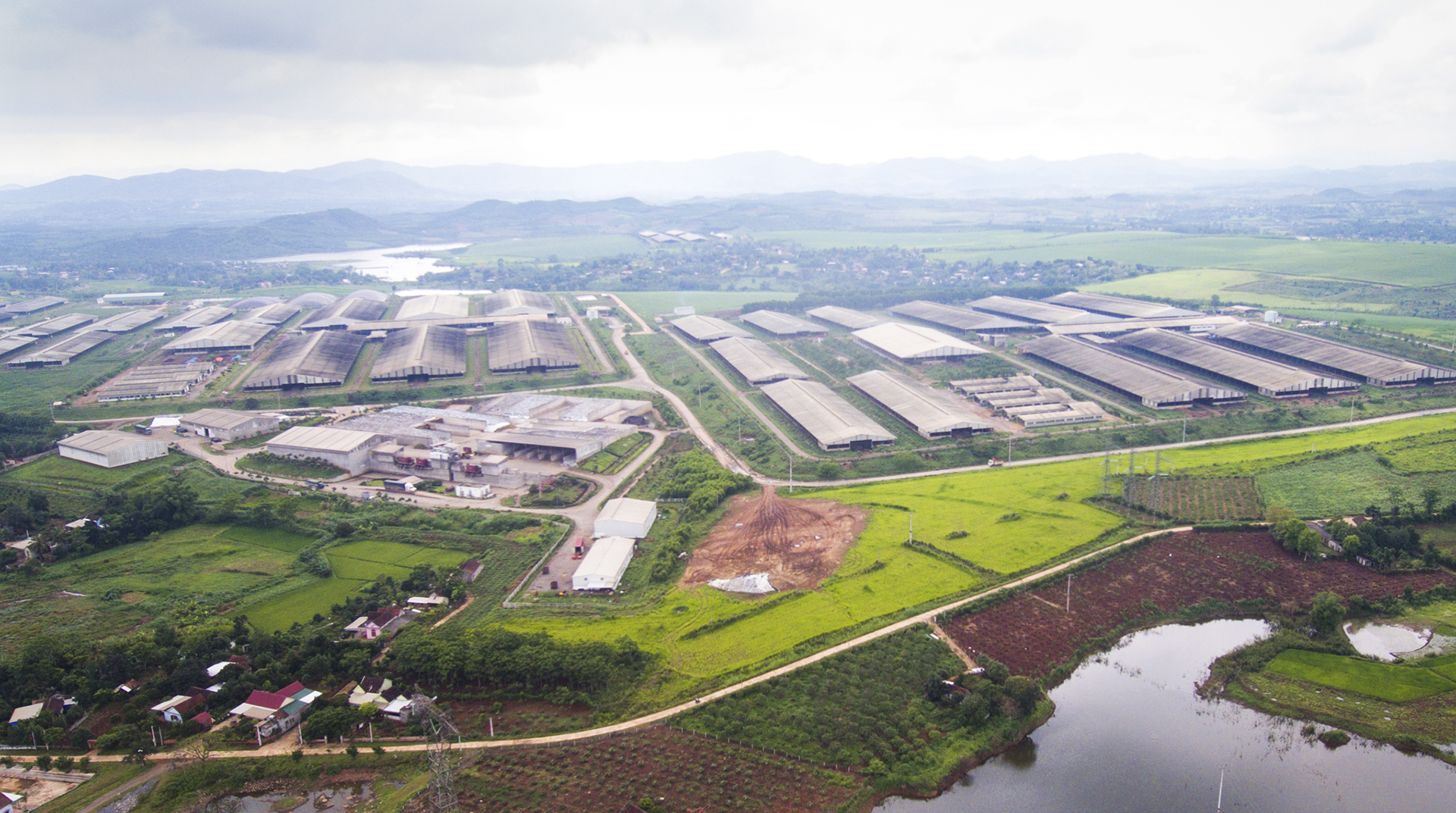 Quang cảnh một trang trại nông nghiệp ứng dụng công nghệ cao tại Nghĩa Đàn.