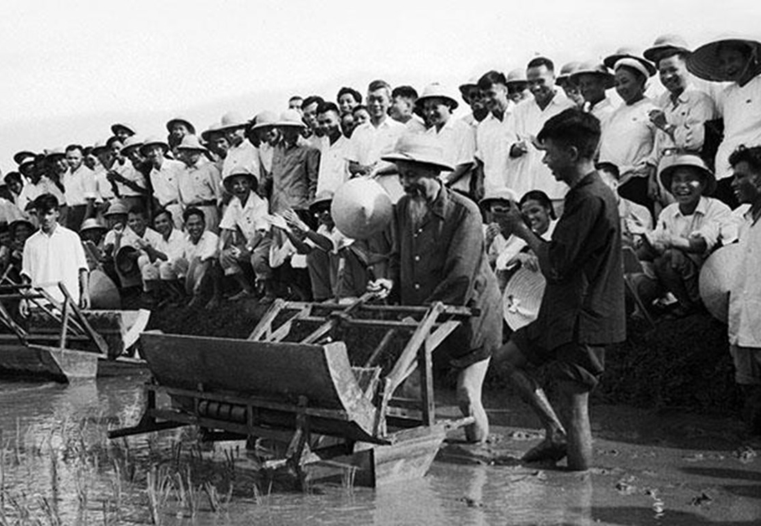 Chủ tịch Hồ Chí Minh đến thăm Sở Nông Lâm Hà Nội và sử dụng thử chiếc máy cấy tại ruộng thí nghiệm của Sở (7/1960).