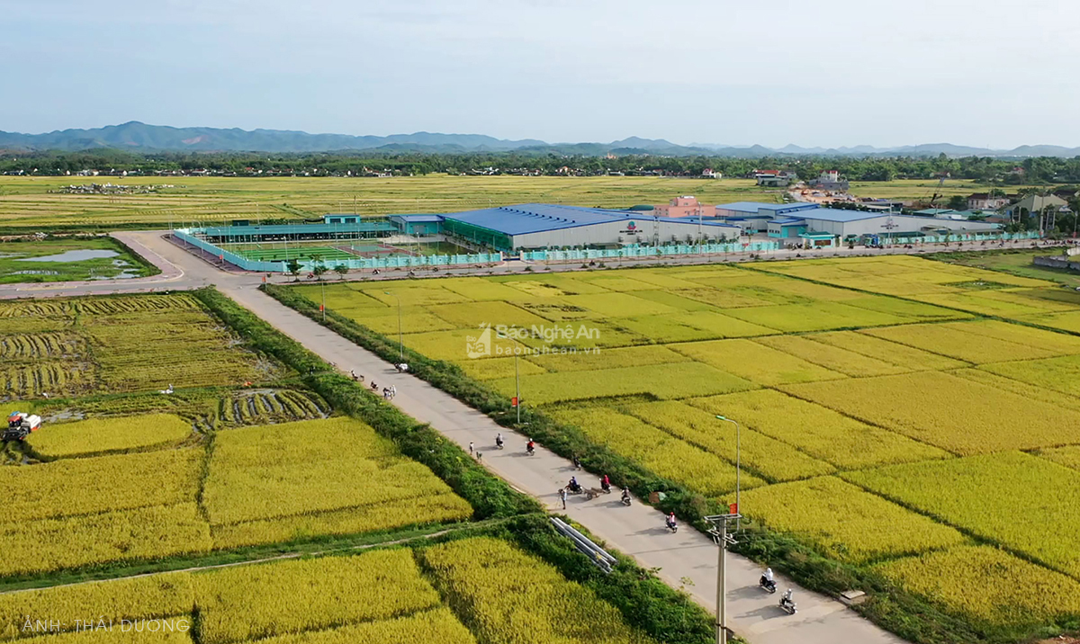 Khu công nghiệp Thị trấn Yên Thành.