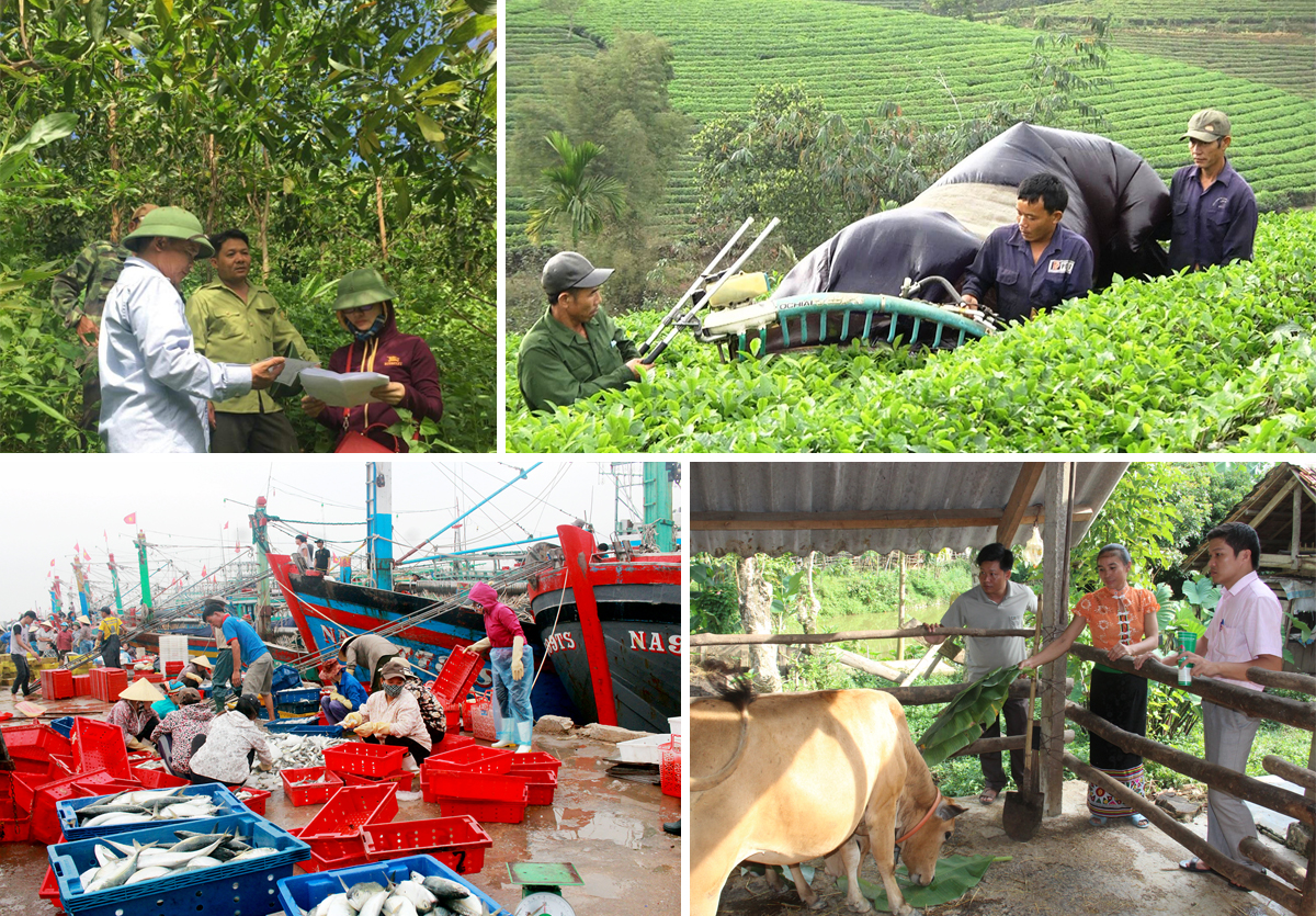 Kiểm tra công tác bảo vệ phát triển rừng; Thu hoạch chè bằng máy ở Thanh Chương; Khai thác hải sản ở Quỳnh Lưu; Người dân vùng cao phát triển chăn nuôi.