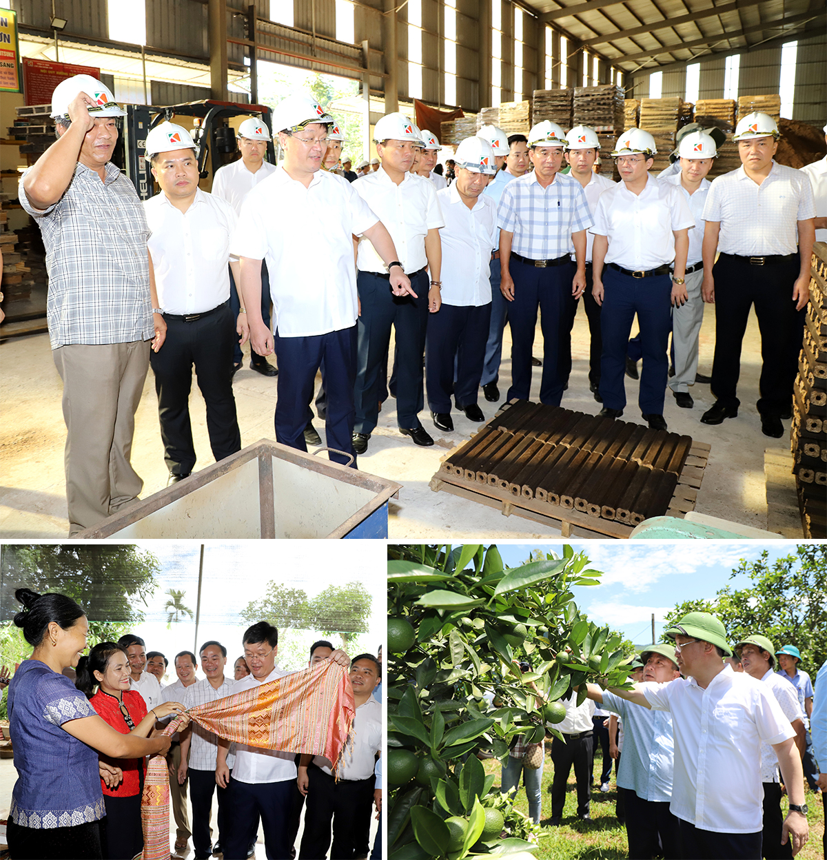 Chủ tịch UBND tỉnh thăm dây chuyền sản xuất của cơ sở chế biến tre, nứa tại Quế Phong; thăm các mô hình sản xuất ở huyện Quỳ Châu.