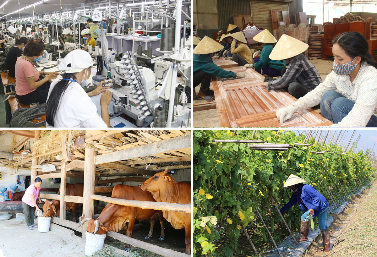 Sản xuất ở Nhà máy may Minh Anh và ở Cụm công nghiệp nhỏ Đô Lương; Các mô hình nuôi bò nhốt và trồng mướp ngọt ở địa phương.