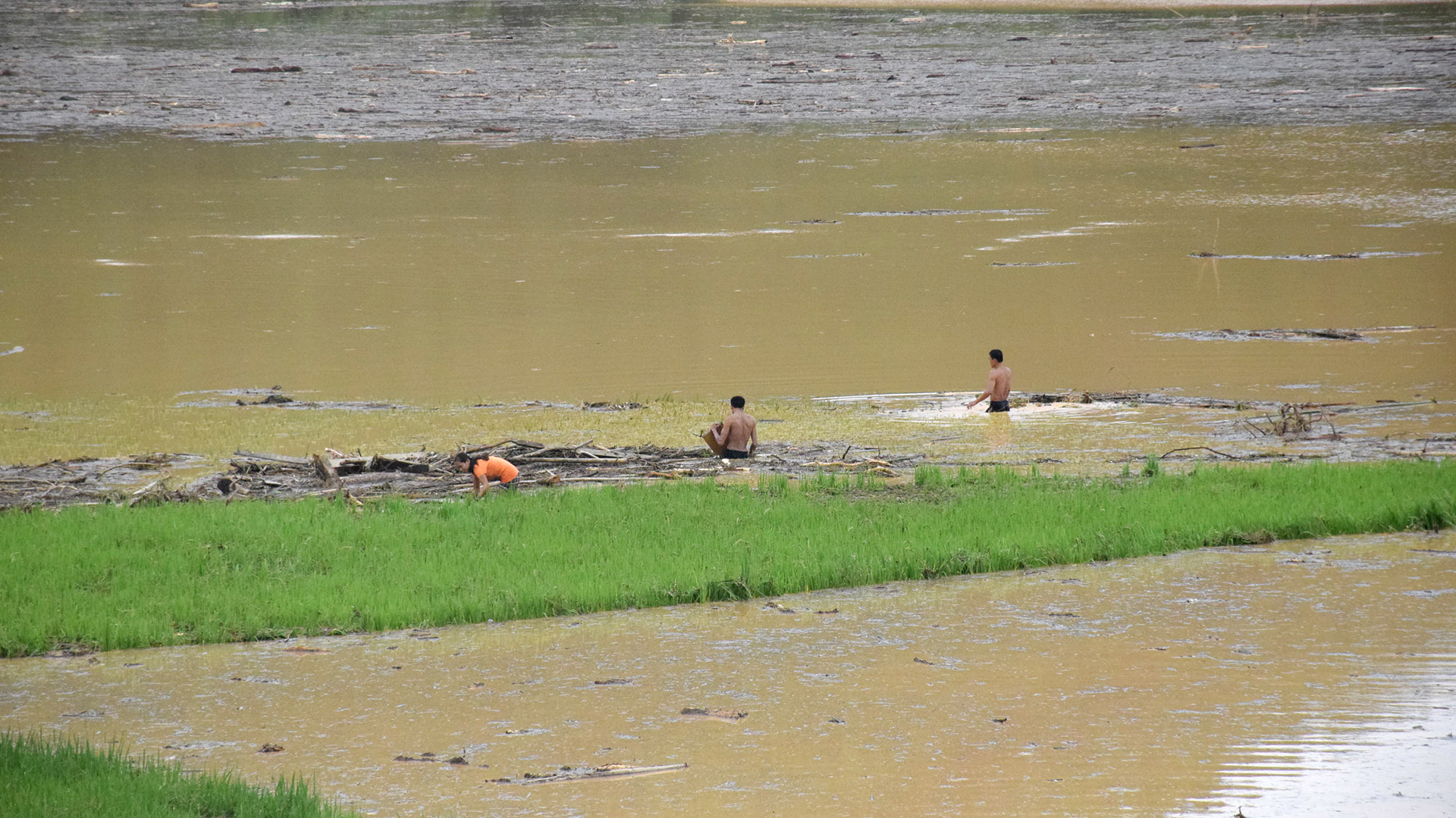 Hầu như năm nào các huyện miền núi của Nghệ An cũng xẩy ra lũ ống, lũ quét, nước sông dâng cao. Ảnh: Xuân Hoàng