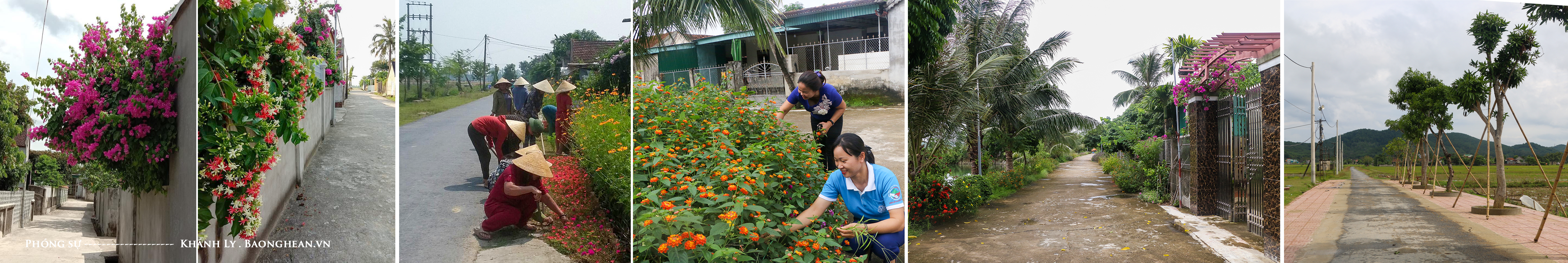 Chị em phụ nữ xóm 6 chăm sóc hoa; Những con đường nông thôn mới khang trang và những ngõ xóm sạch đẹp ở xóm 6, xã Tân Sơn (Đô Lương). Ảnh: K.L - CSCC