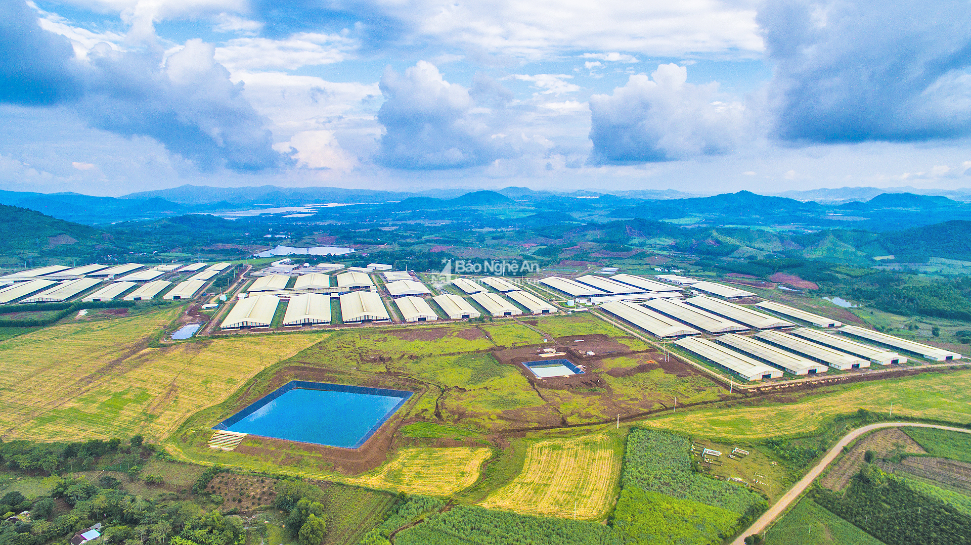 Chuỗi nông nghiệp ứng dụng công nghệ cao tại huyện Nghĩa Đàn.