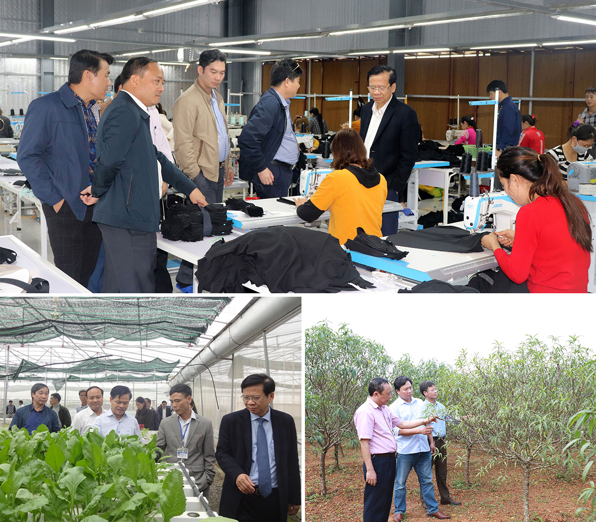 Lãnh đạo huyện Yên Thành thăm nhà máy may ở xã Sơn Thành; mô hình sản xuất rau, quả công nghệ cao trong nhà lưới ở xã Tân Thành và khảo sát hiệu quả trồng đào phai tại xã Kim Thành.
