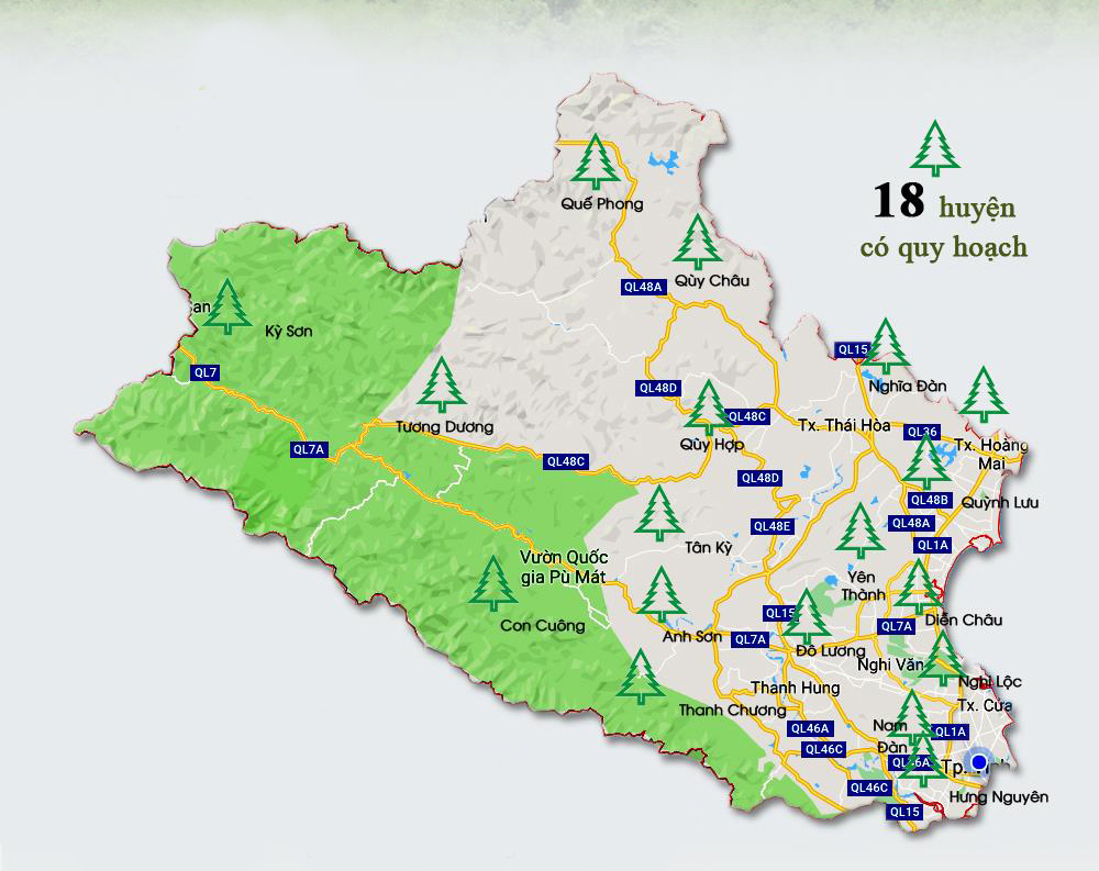 Nghệ An đã ban hành quy hoạch rừng nguyên liệu ở 18 huyện, thị xã. Đồ họa: Lâm Tùng