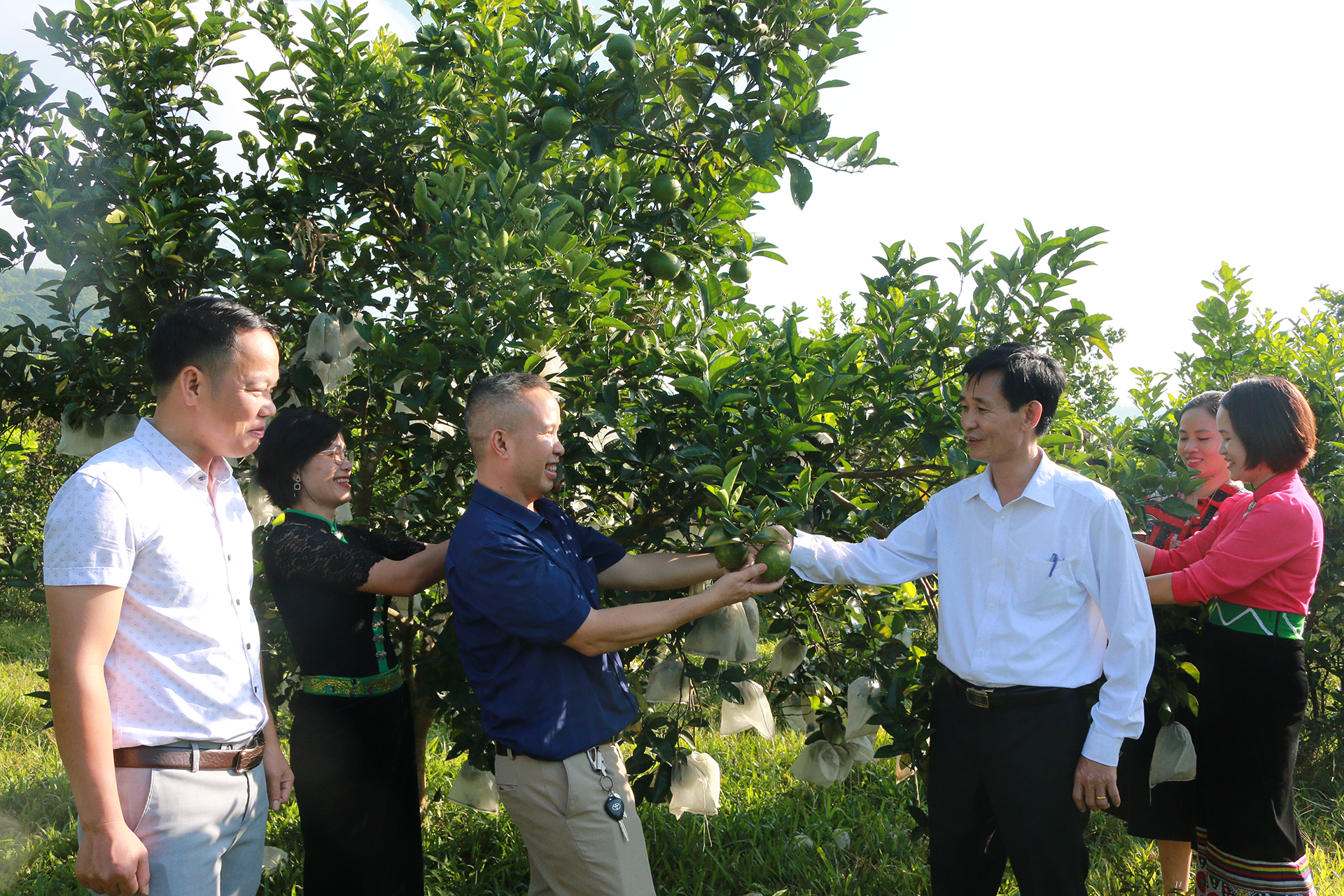 Đồng chí Trương Minh Cương - Bí thư Huyện ủy Quế Phong thăm mô hình trồng cây ăn quả ở thị trấn Kim Sơn.