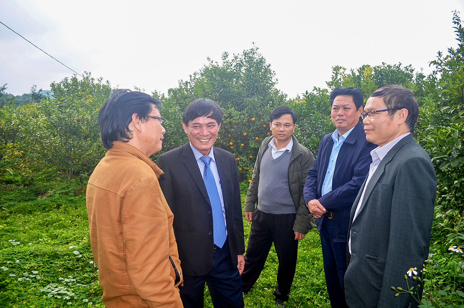 Doanh nhân Nguyễn Giang Hoài trao đổi với các chuyên gia Bộ NN&PTNT về giống quýt Nghệ -HT1.