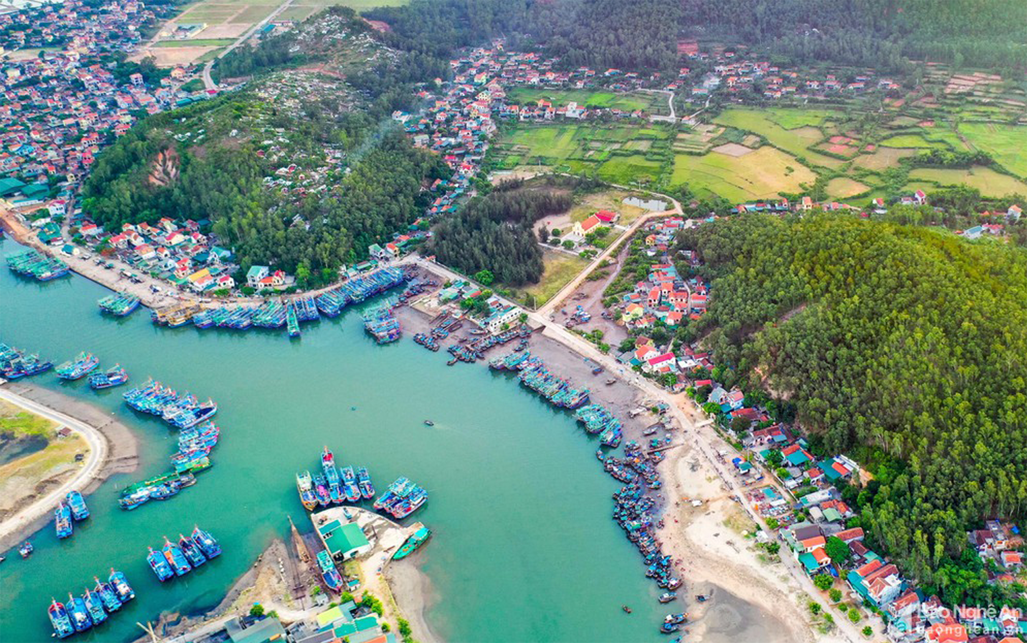 Cảng Lạch Quèn, xã Quỳnh Thuận, huyện Quỳnh Lưu được xem là cảng cá lớn nhất vùng rốn cá Quỳnh Lưu. Ảnh: tư liệu CTV