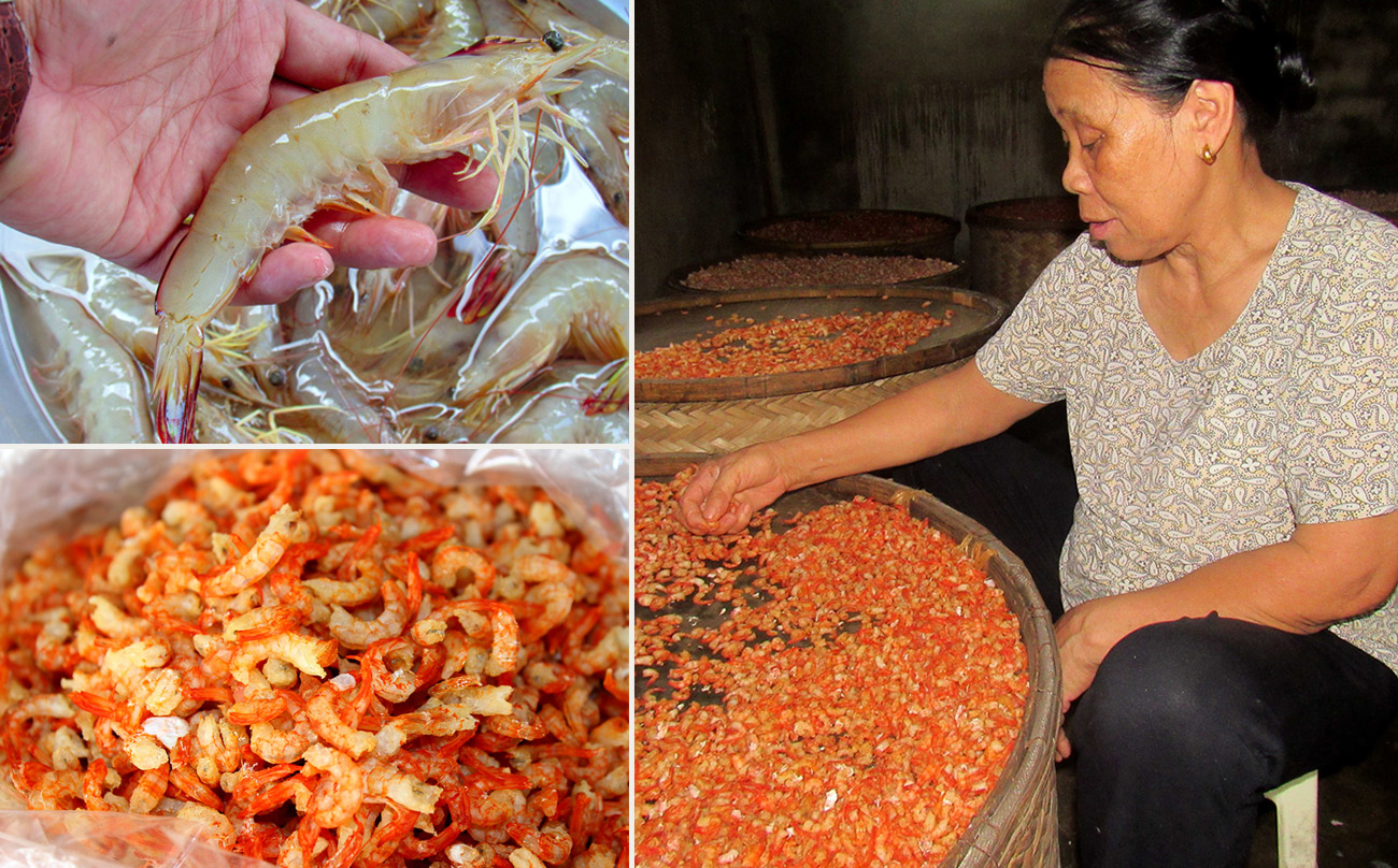 Sản xuất tôm nõn ở Diễn Châu. Ảnh: Quang An