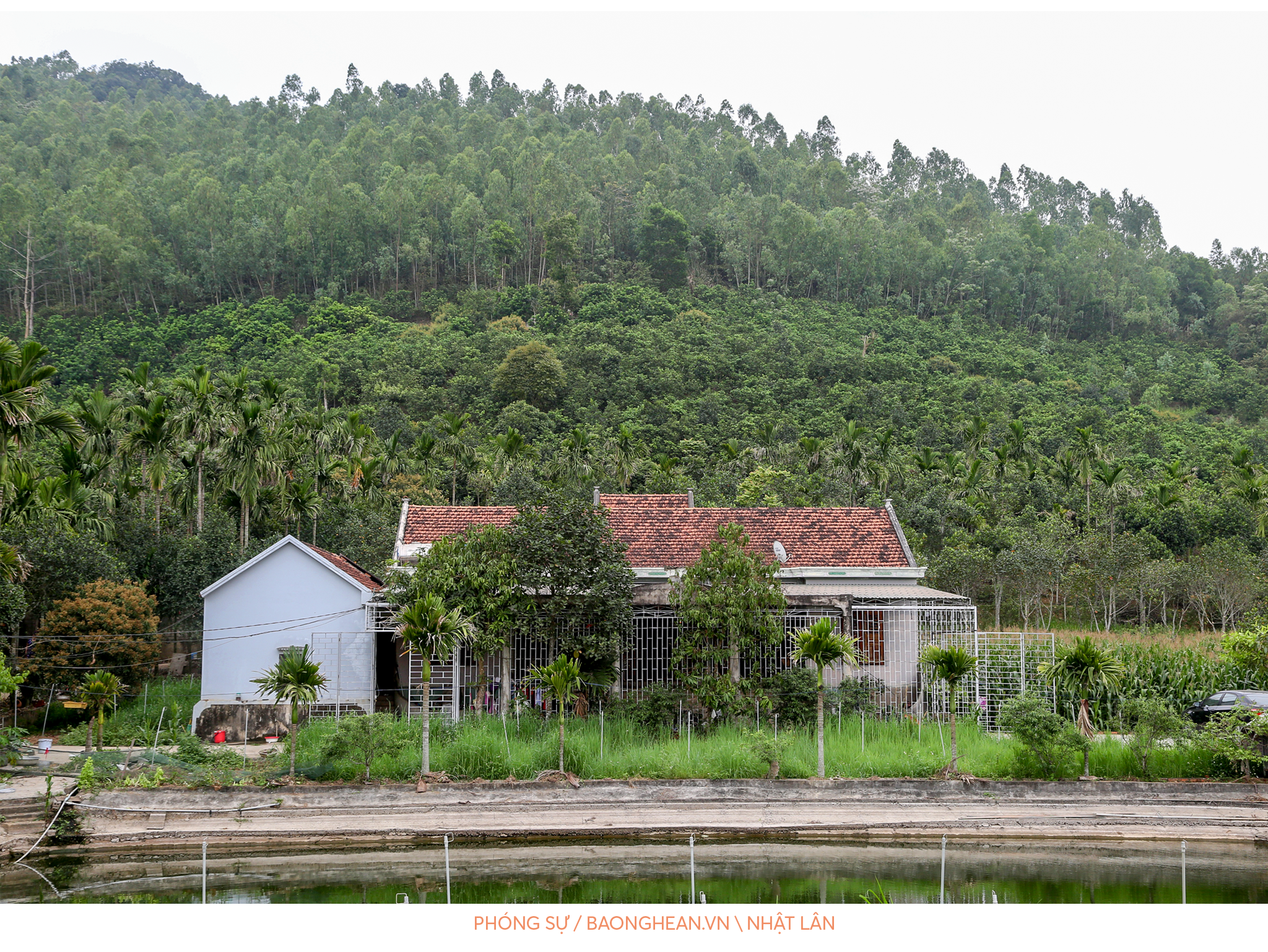 Nhà và trại hươu của ông Lê Trần Tráng, trong một vùng đồi xanh.