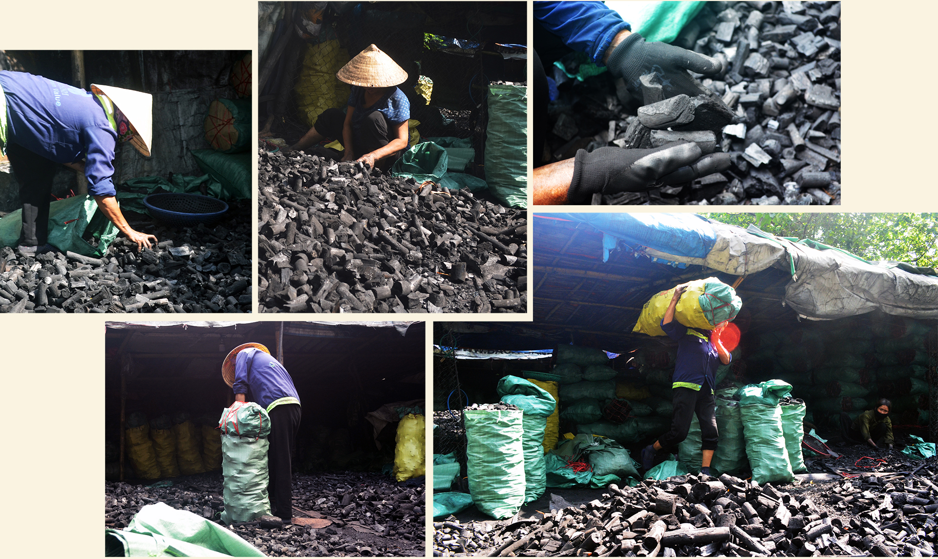 Hình ảnh những người phụ nữ Quỳnh Vinh (T.X Hoàng Mai) làm nghề than tại T.P Vinh.