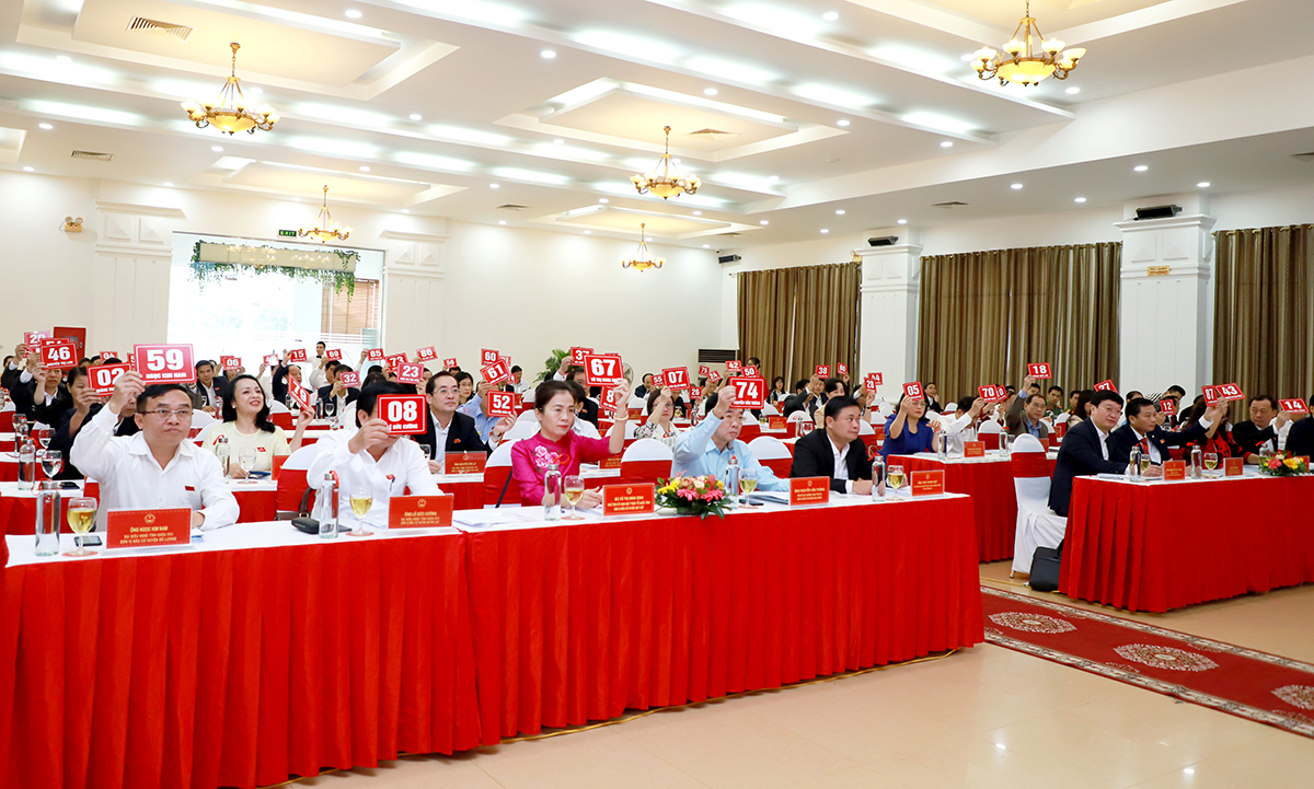 Các đại biểu biểu quyết thông qua dự thảo nghị quyết tại kỳ họp thứ 16, HĐND tỉnh khoá XVII.