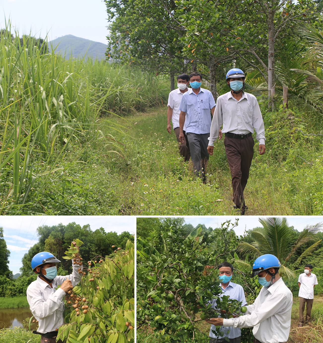 Ông Nguyễn Viết Học đưa lãnh đạo địa phương đi thăm trang trại của gia đình.