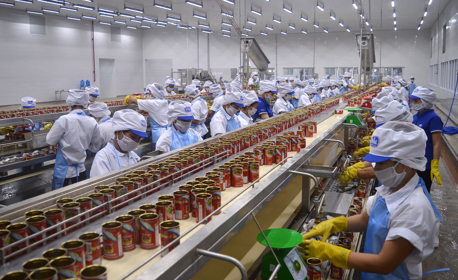 Công nhân sản xuất cá hộp tại nhà máy Royal Foods (Khu kinh tế Đông Nam). Ảnh: Lâm Tùng
