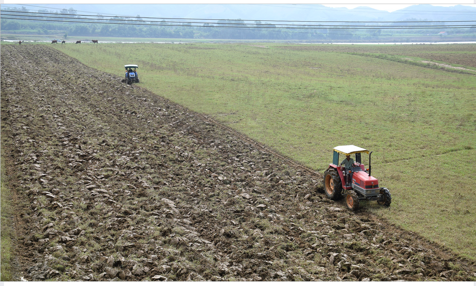 Nhiều HTX nông nghiệp nhận dịch vụ làm đất cho nông dân. Ảnh: Xuân Hoàng