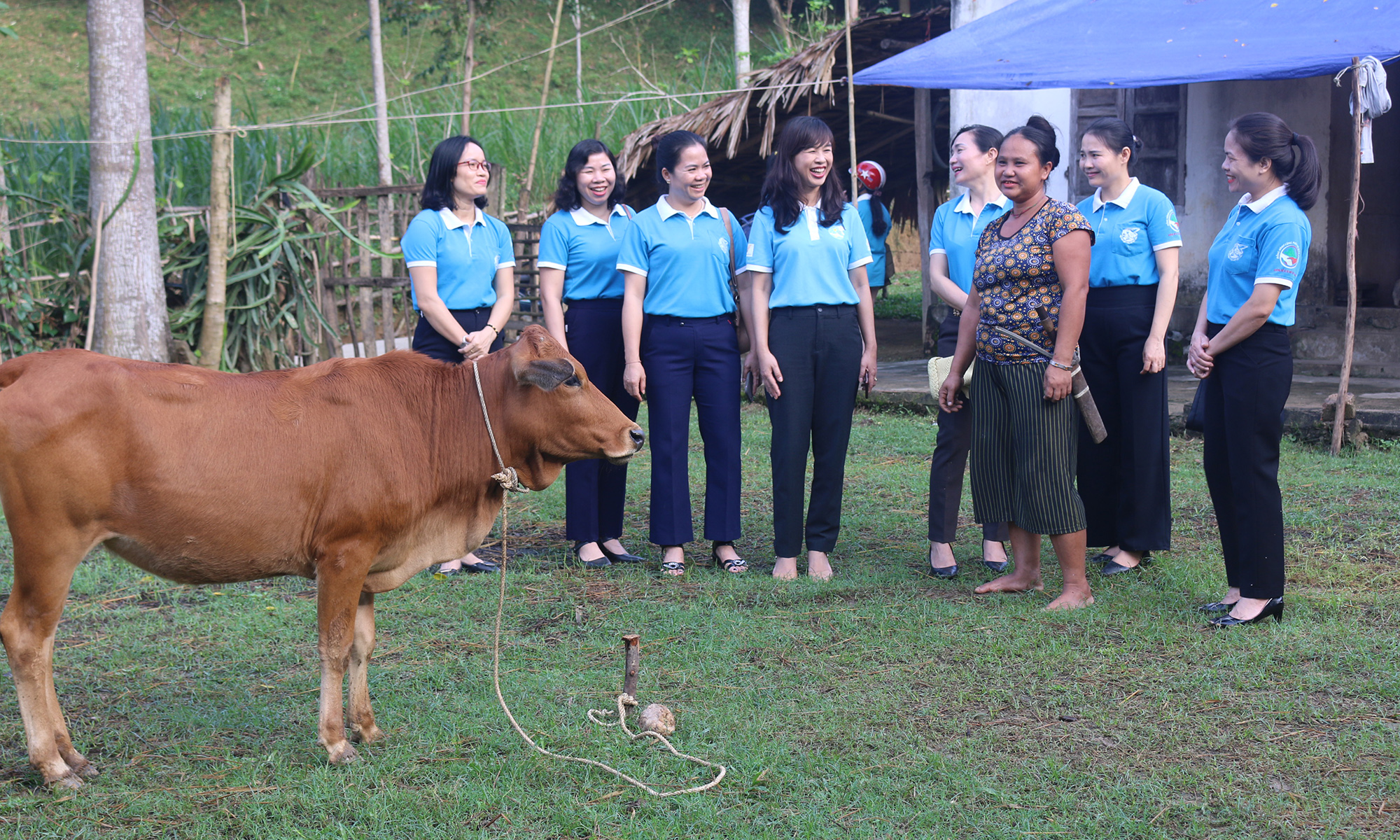 Hội LHPN tỉnh trao hỗ trợ bò, tạo sinh kế cho đồng bào dân tộc Đan Lai (huyện Con Cuông).