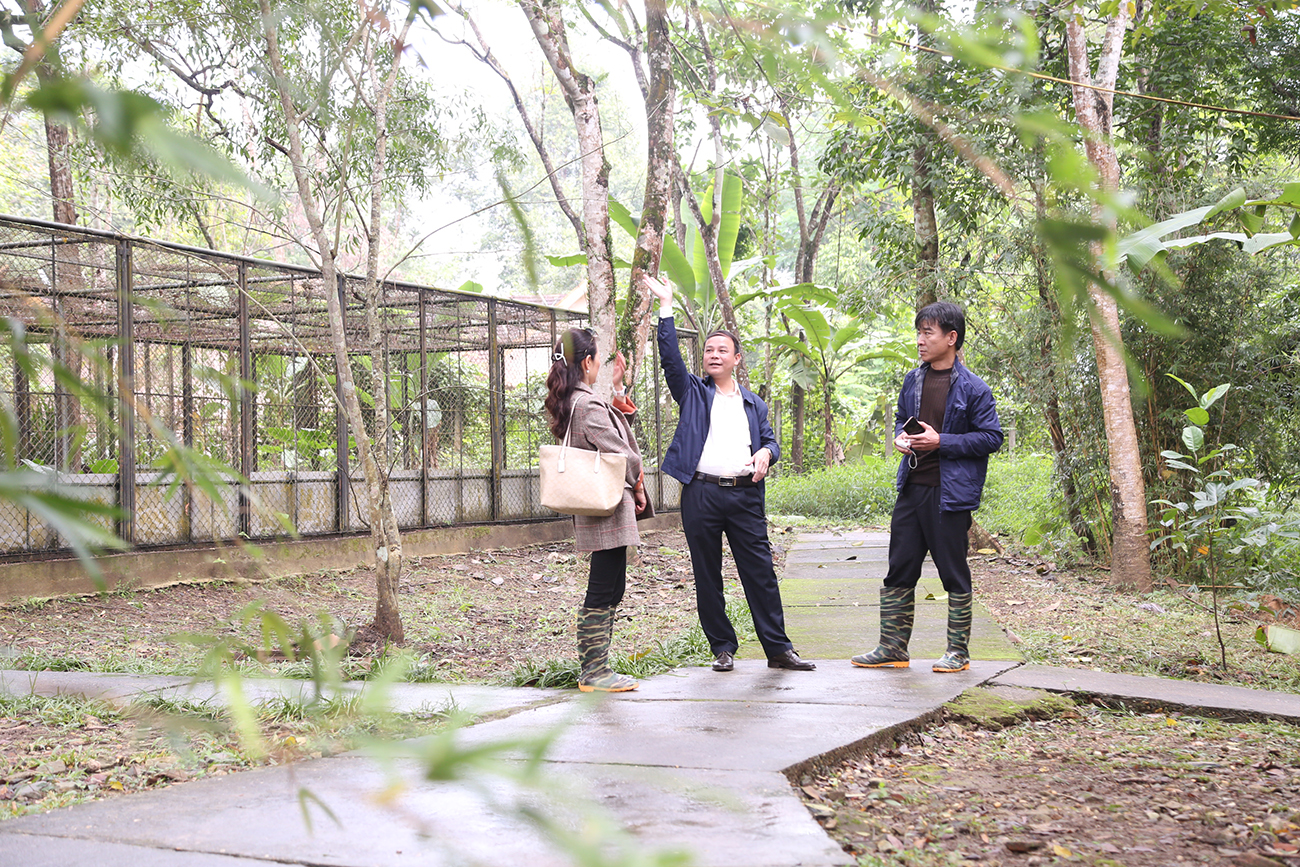Ông Trần Xuân Cường - Giám đốc Vườn Quốc gia Pù Mát trao đổi với phóng viên Báo Nghệ An về vấn đề quy hoạch cơ sở cứu hộ động vật.