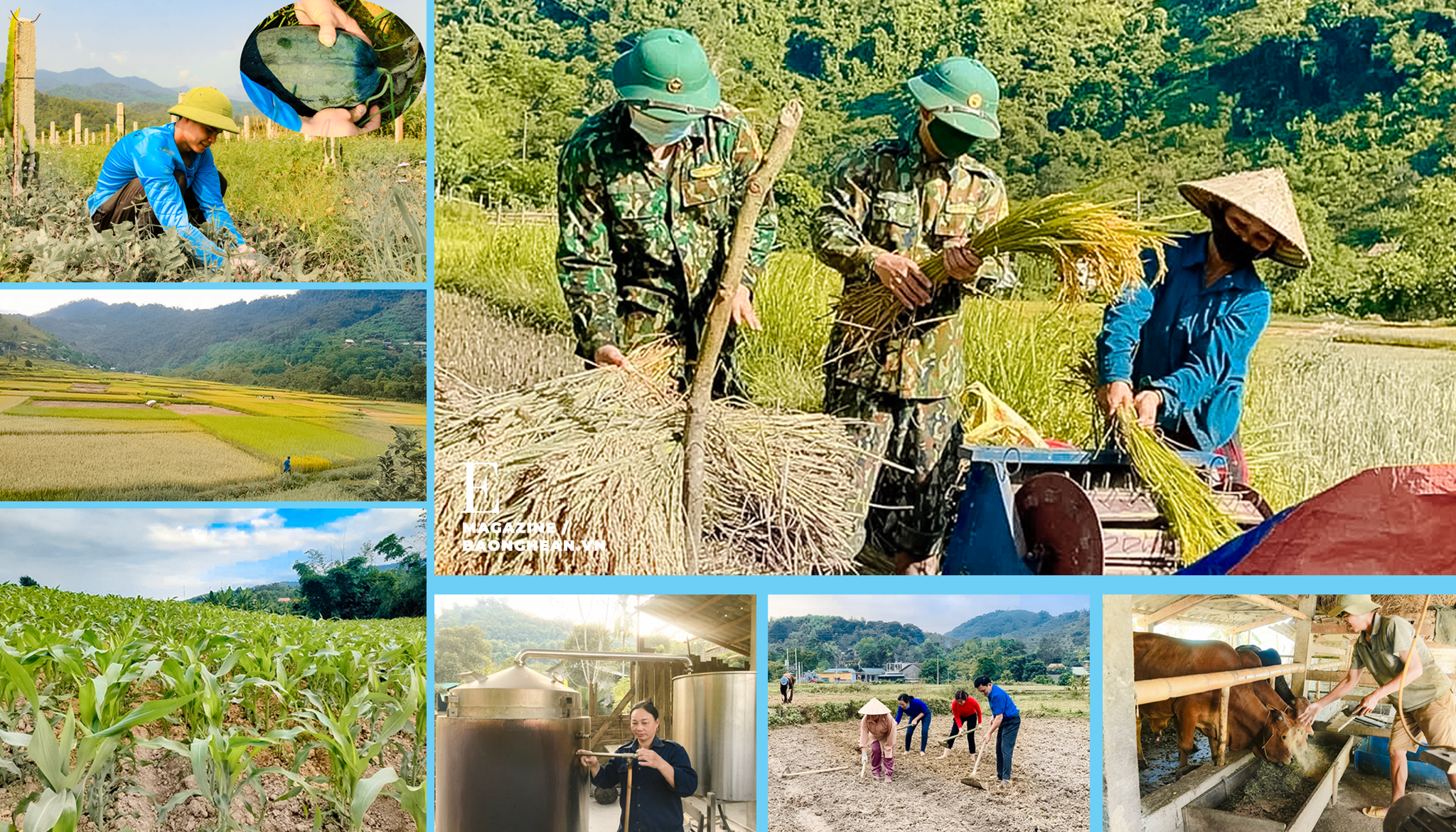 BĐBP Tam Quang giúp dân bản Tùng Hương thu hoạch lúa; Nhiều mô hình phát triển kinh tế mang lại hiệu quả kinh tế cao ở xã Tam Quang; Những đồng lúa vàng, cánh đồng ngô xanh mướt; Người dân chiết xuất tinh dầu tràm. 