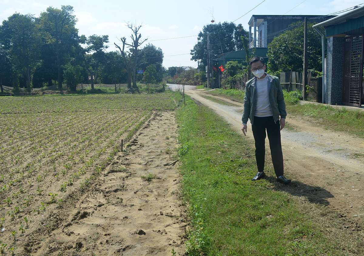 Khu đất trồng lạc gia đình ông Nguyễn Quang Huy, xóm Kim Chi (xã Nghi Ân) đã hiến để mở đường.