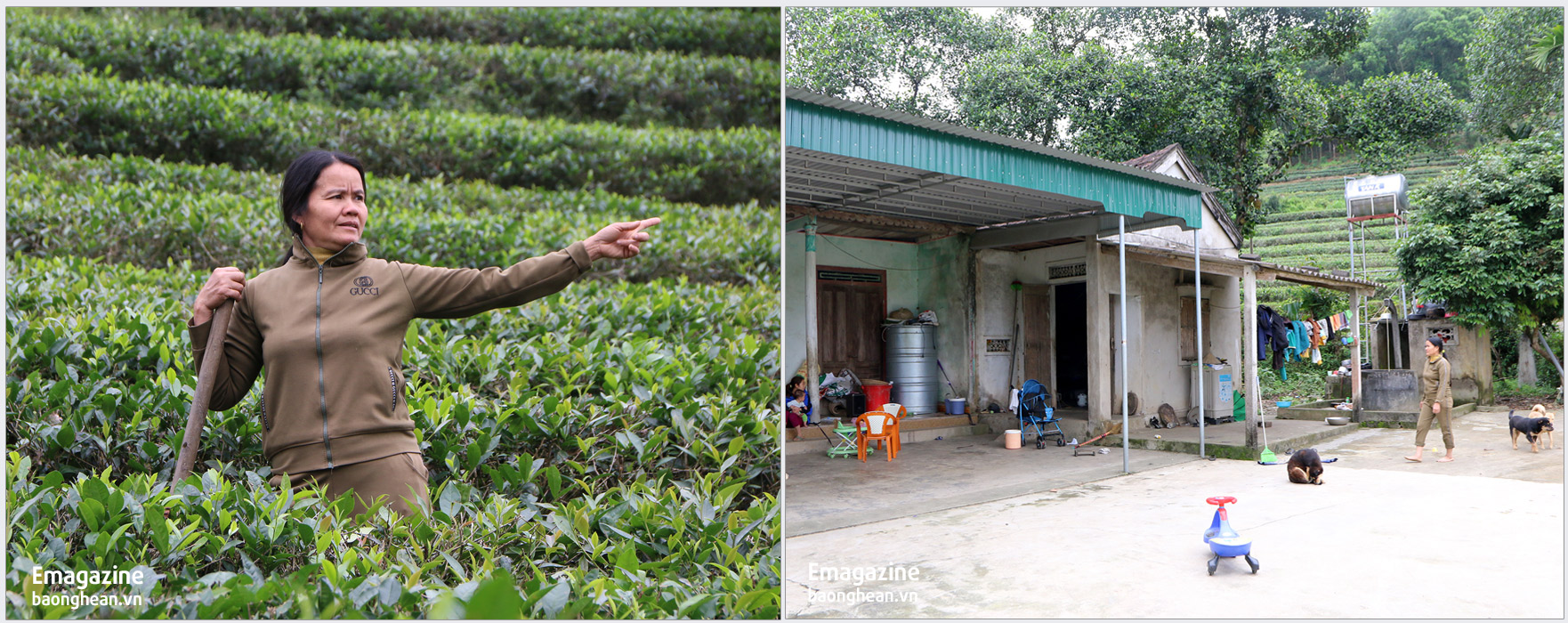Bà Nguyễn Thị Kiều - thôn Ngọc Lâm, xã Thanh Thuỷ trước đây nhận khoán 0,5ha từ nông trường chè, cùng với khoảng 3 sào đất đã làm nhà ở, đến nay vẫn chưa làm được Giấy CNQSDĐ.