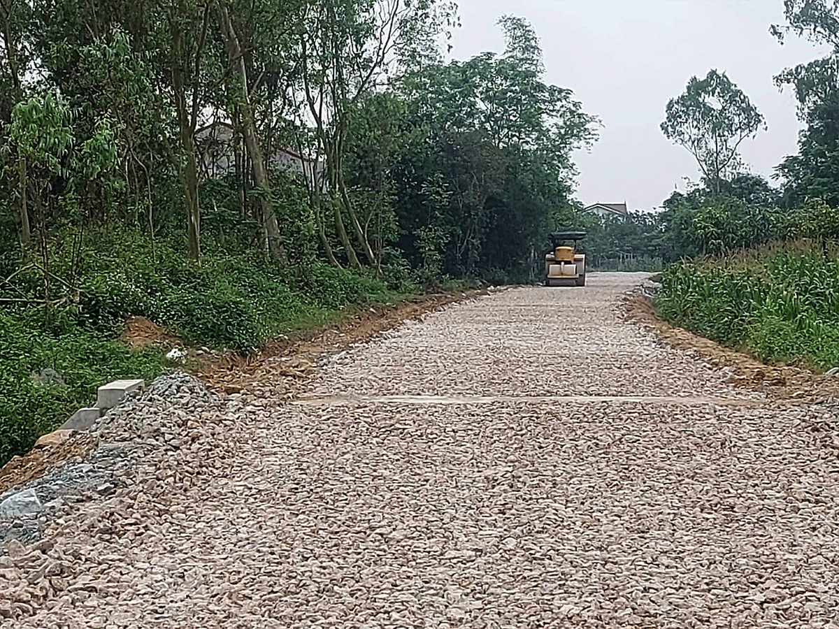 Tuyến đường xóm Kim Phúc đi xã Nghi Trường, Nghi Trung (huyện Nghi Lộc) hiện nay.