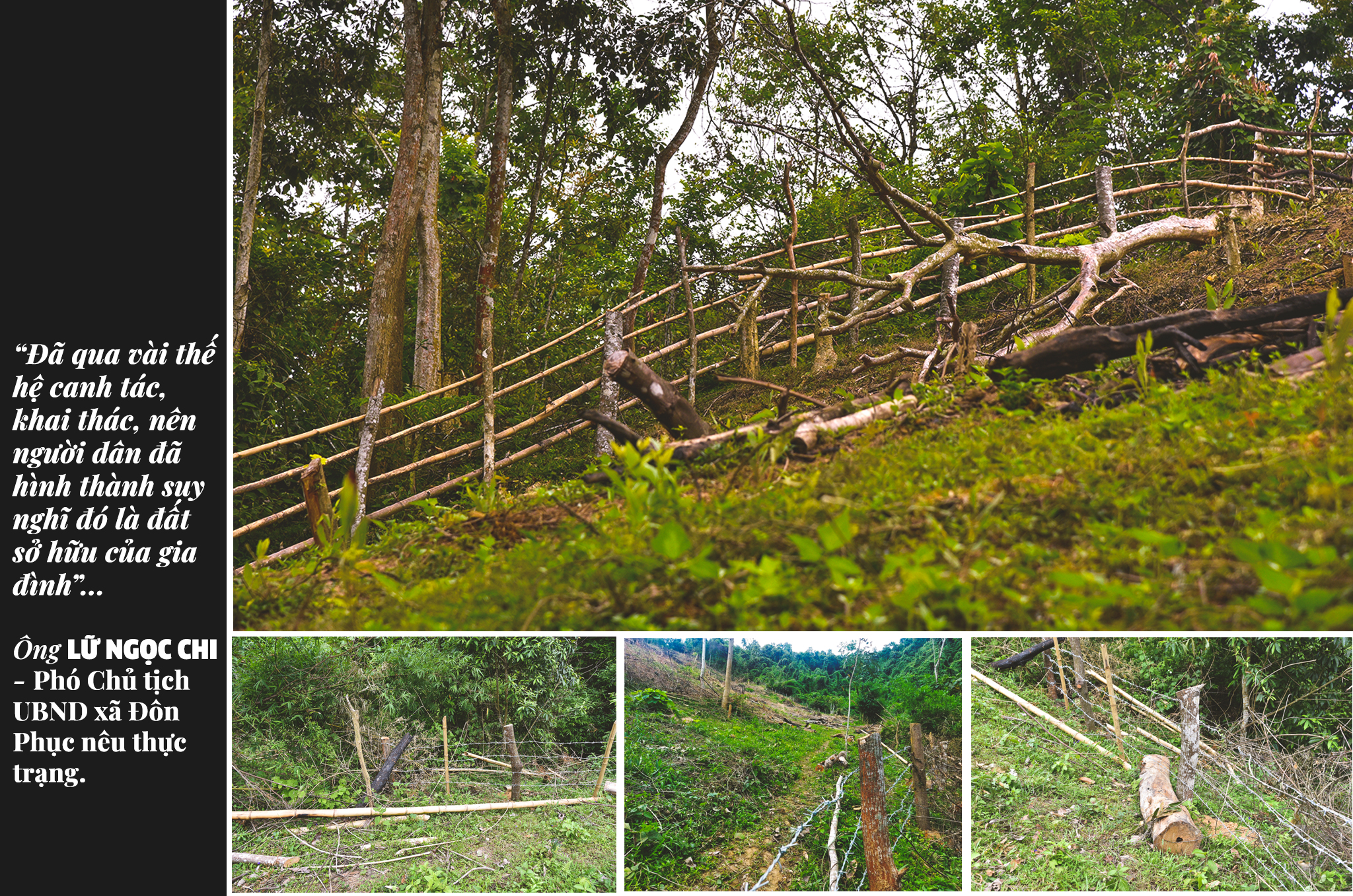 Hàng rào bao quanh vùng rừng cộng đồng của bản Tổng Tiến; Hàng rào dây thép gai và cọc gỗ tại vùng rừng ông Lương Văn Xao chặt phá.