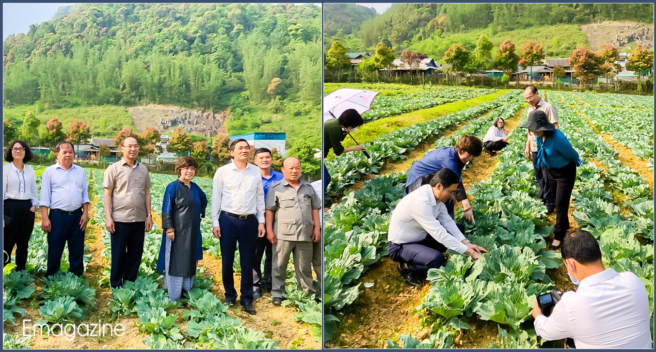 Lãnh đạo tỉnh Nghệ An thăm khu vườn dược liệu và rau sạch của Tập đoàn TH tại Mường Lống (Kỳ Sơn).