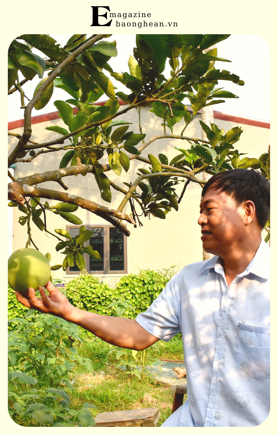 Thương binh Nguyễn Hồng Yên chăm sóc vườn cây ăn quả. Ảnh: Công Kiên