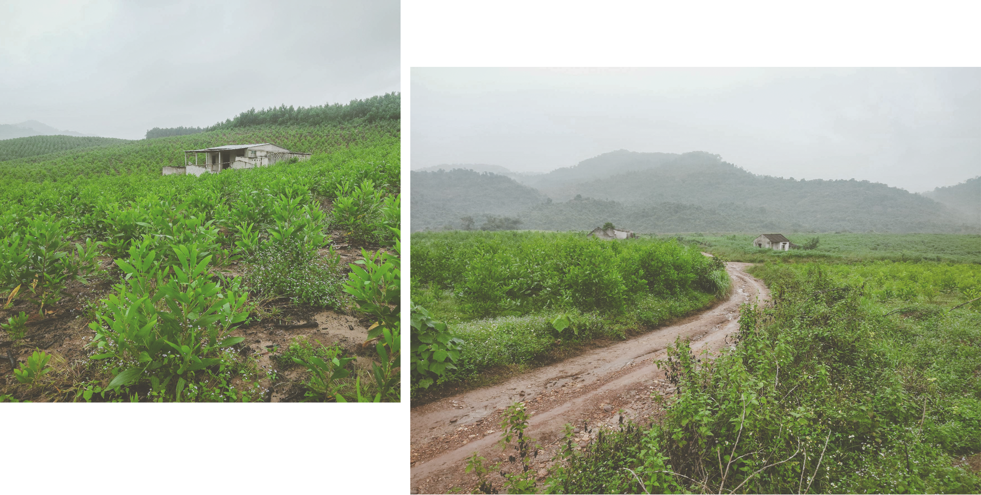 Hiện trạng khu vực cuối bản Bình Quang, đoạn giáp ranh huyện Như Xuân, tỉnh Thanh Hóa.
