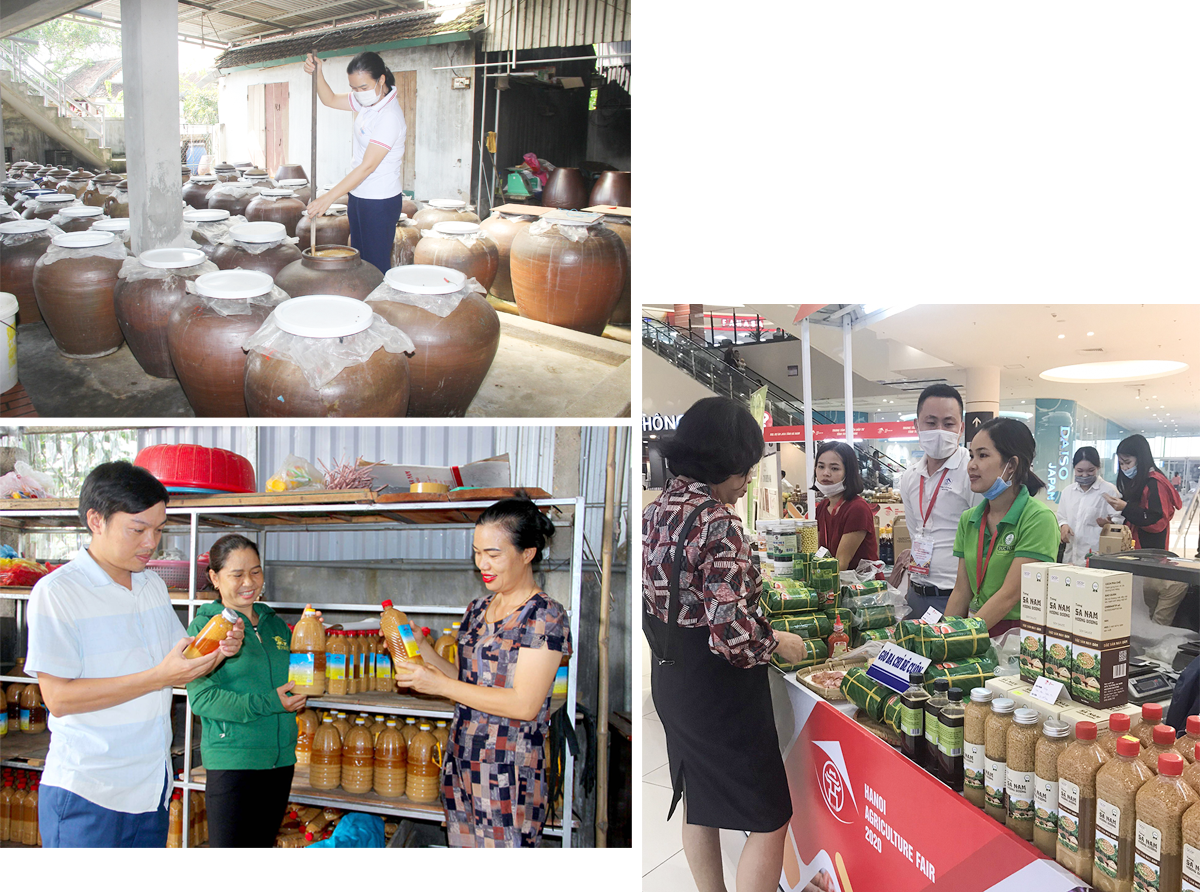 Khâu ủ và phơi tương trong chế biến tương; Sản phẩm tương Nam Đàn tham gia Hội chợ OCOP AONE Long Biên. 