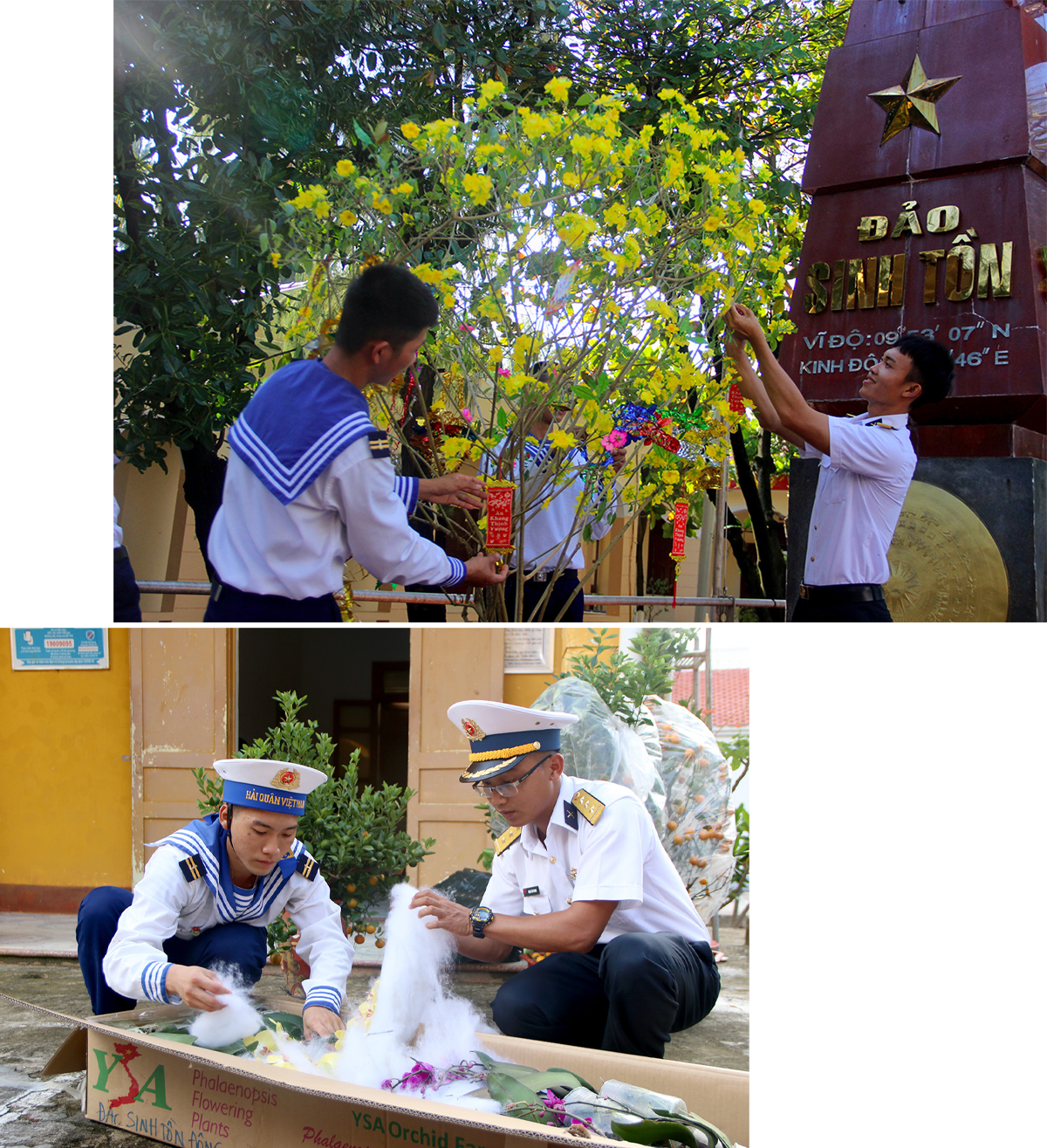 Các chiến sĩ  trang trí mai vàng đón Tết; Cán bộ, chiến sĩ đảo Sinh Tồn Đông nhận hoa lan do Hiệp hội hoa lan Đà Lạt trao tặng.